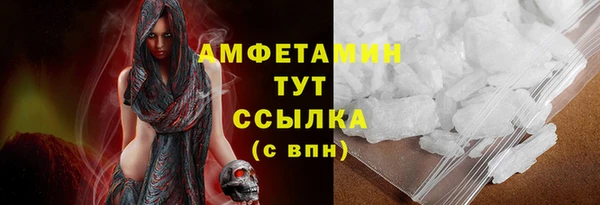 прущие грибы Богородицк