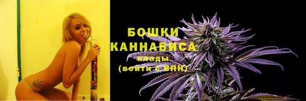 прущие грибы Богородицк