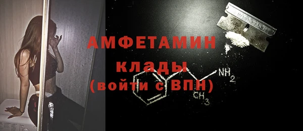 прущие грибы Богородицк
