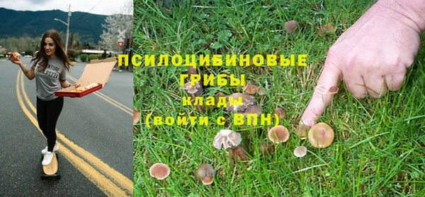прущие грибы Богородицк